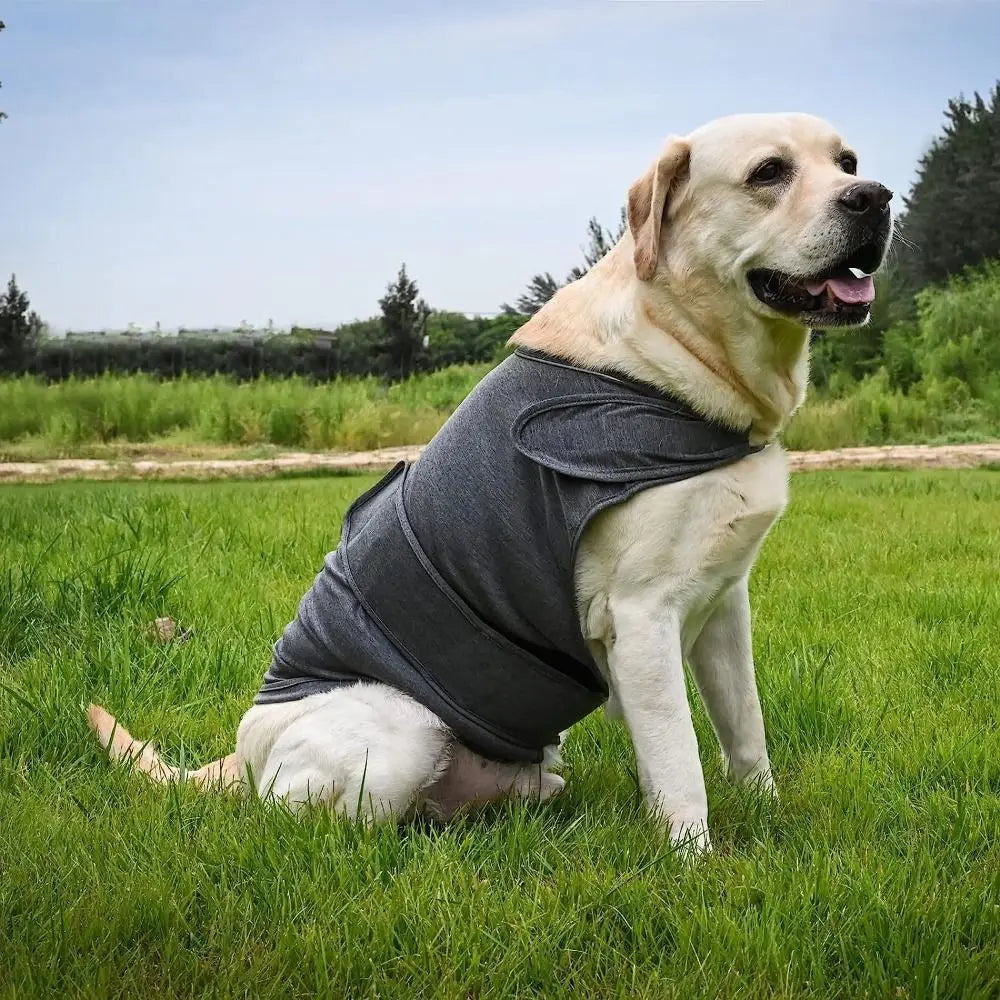 Breathable Dog Anxiety Jacket Soft Comfortable Anti Anxiety Pet Coat Adjustable Warm Dog Calming Wrap Clothes Outdoor