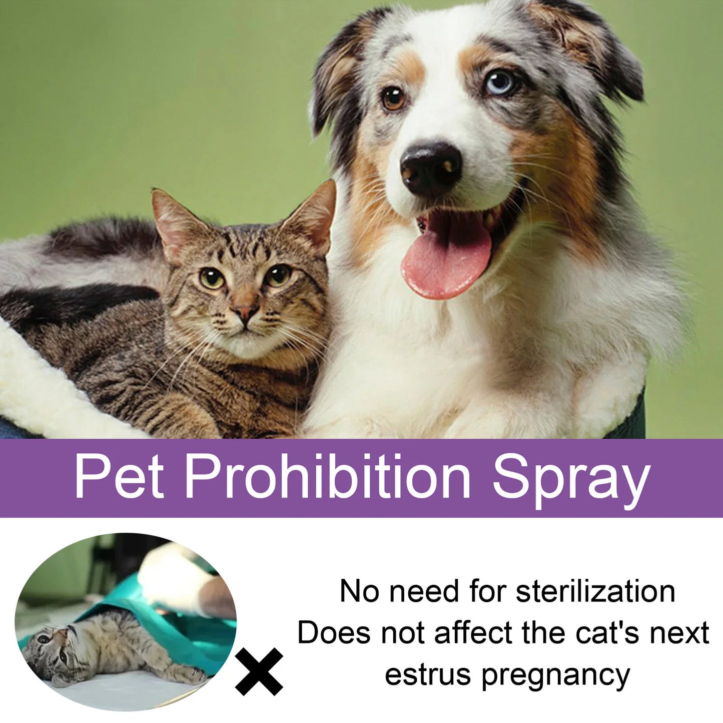 Pet Calming Spray Pet Supplies Pets Pheromone Calming Spray Improve Estrus Agitation Pet Anxiety Relief Spray for Cats Dogs 50ml