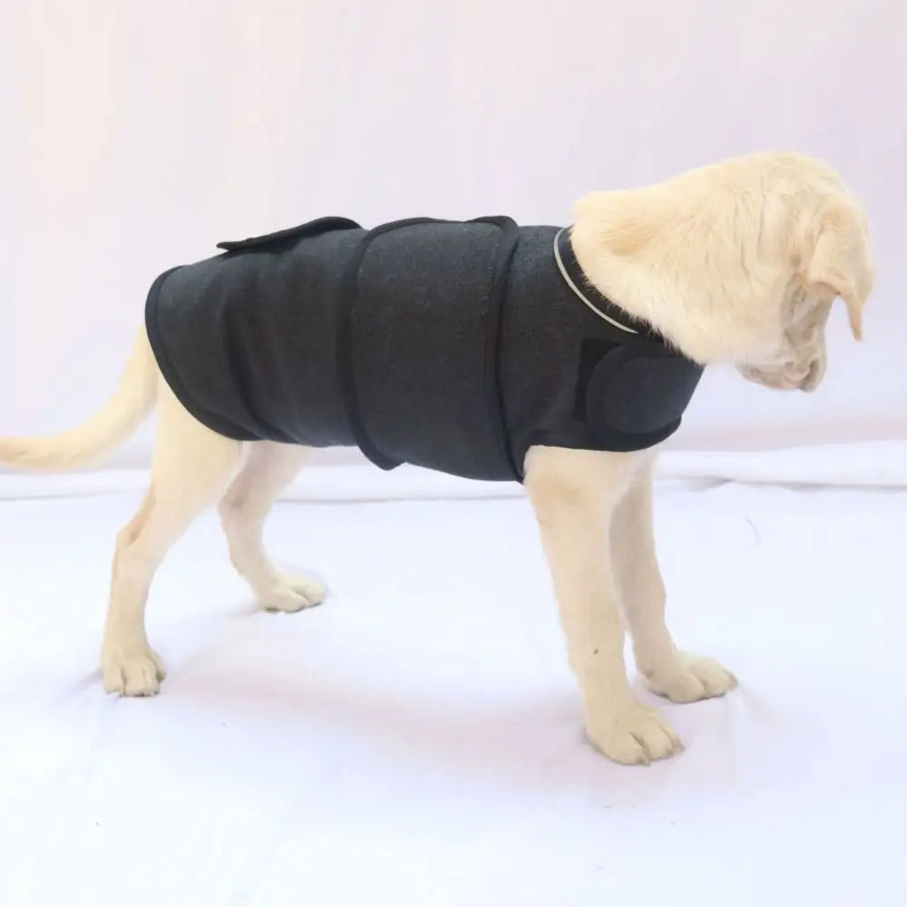 Breathable Dog Anxiety Jacket Soft Comfortable Anti Anxiety Pet Coat Adjustable Warm Dog Calming Wrap Clothes Outdoor