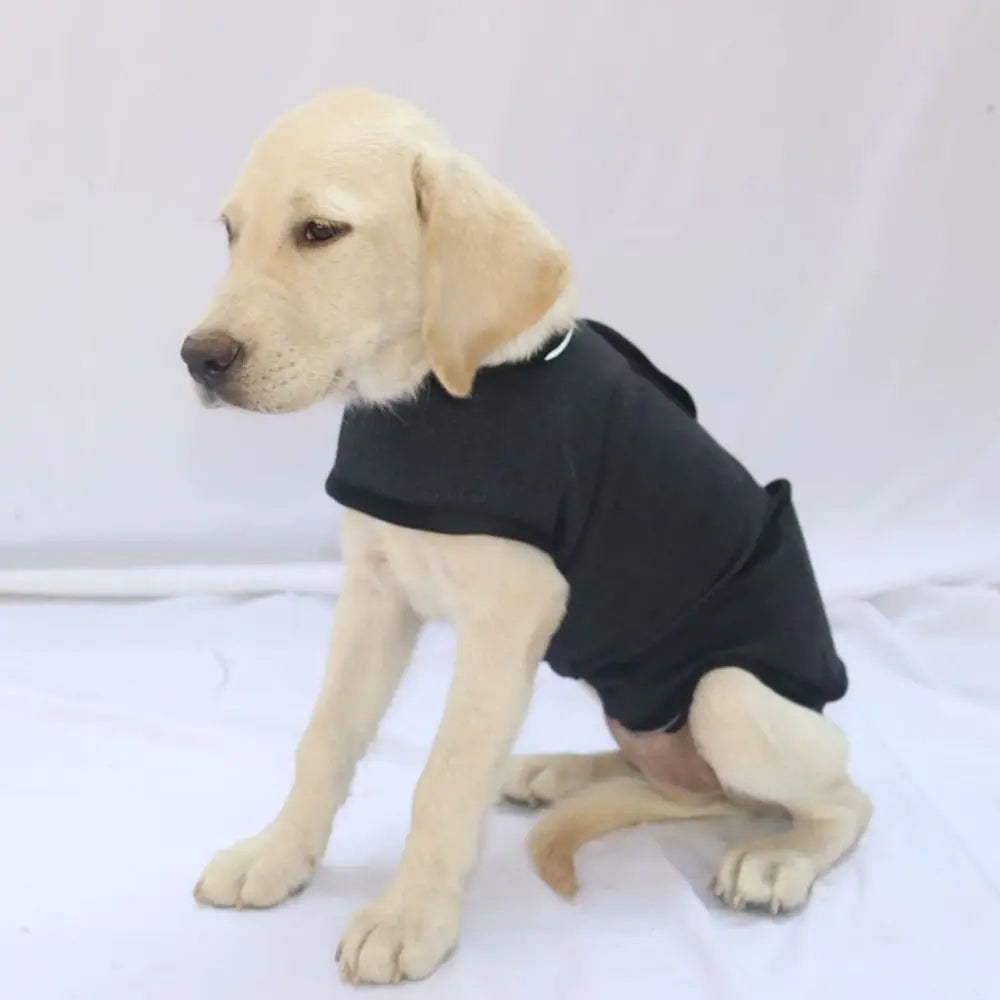Breathable Dog Anxiety Jacket Soft Comfortable Anti Anxiety Pet Coat Adjustable Warm Dog Calming Wrap Clothes Outdoor