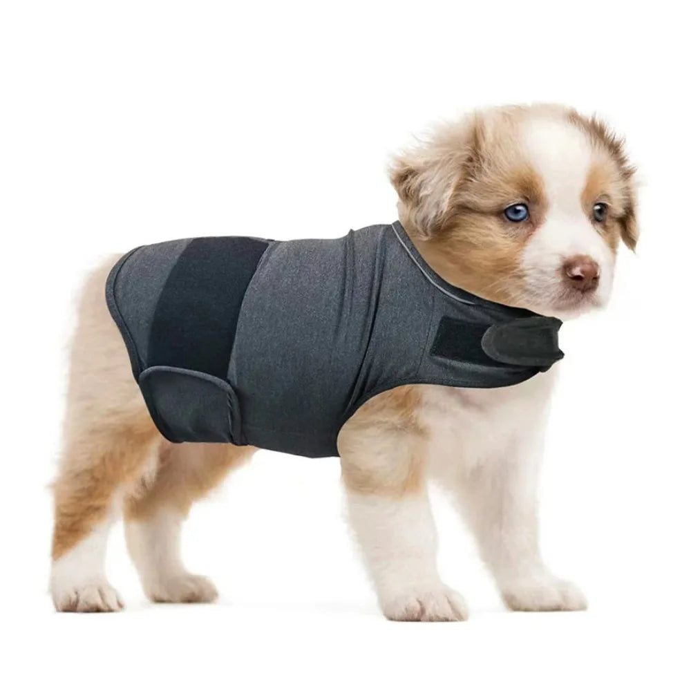 Breathable Dog Anxiety Jacket Soft Comfortable Anti Anxiety Pet Coat Adjustable Warm Dog Calming Wrap Clothes Outdoor